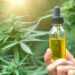 Things to Consider When Buying CBD oil Online