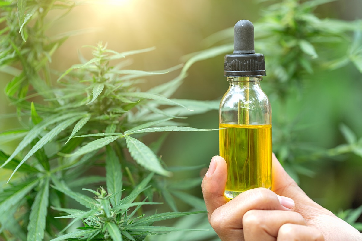 Things to Consider When Buying CBD oil Online