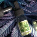 Is CBD Oil Safe to Use While Pregnant and Breastfeeding?